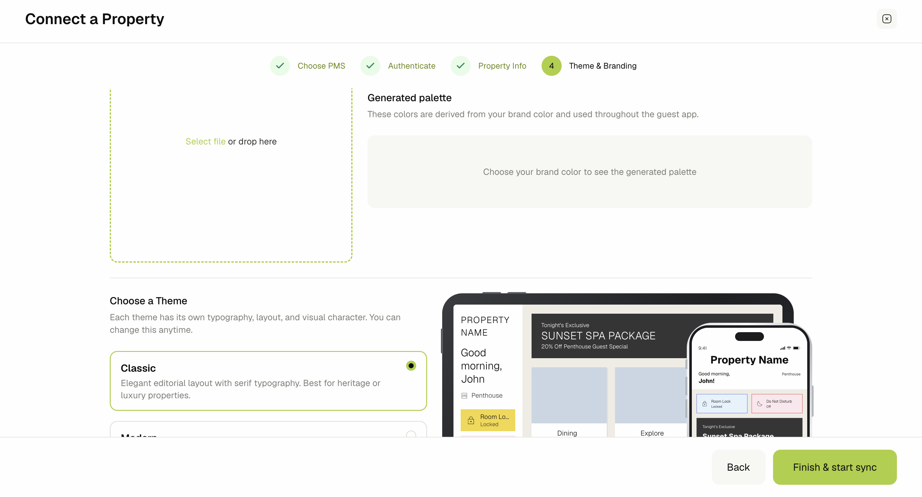 Theme & Branding step showing the logo upload, generated palette, and theme selection